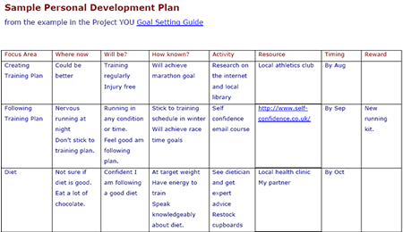 individual development plan sample manager